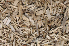 biomass boilers Nailsea
